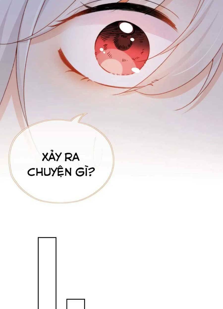 Nam Chính Và Nhân Vật Phản Diện Tôi Nuôi Đều Không Đứng Đắn: Chapter 48