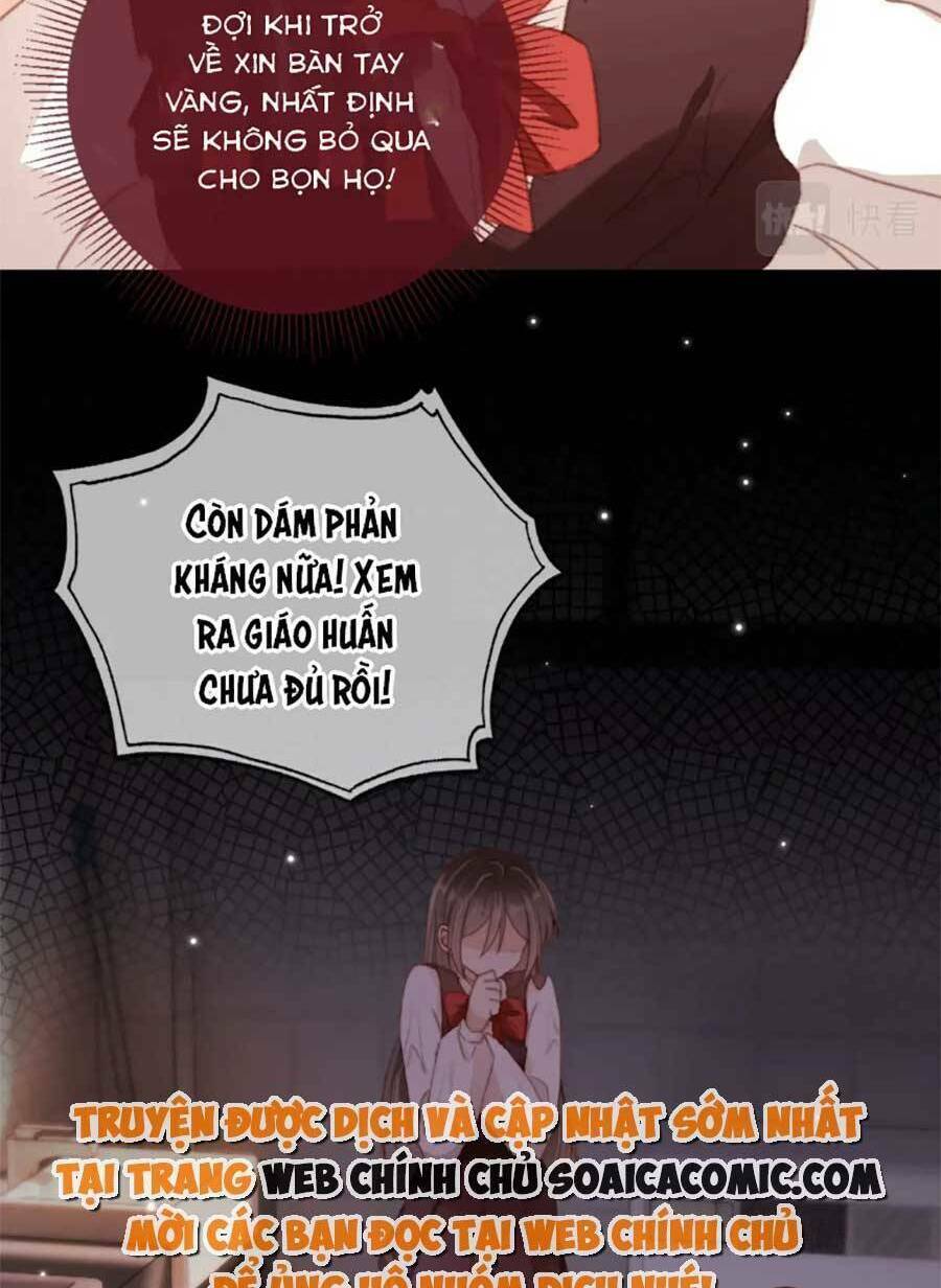 Nam Chính Và Nhân Vật Phản Diện Tôi Nuôi Đều Không Đứng Đắn: Chapter 61