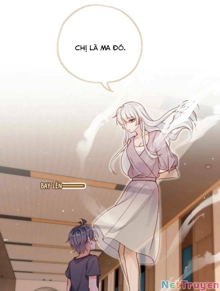 Nam Chính Và Nhân Vật Phản Diện Tôi Nuôi Đều Không Đứng Đắn: Chapter 98