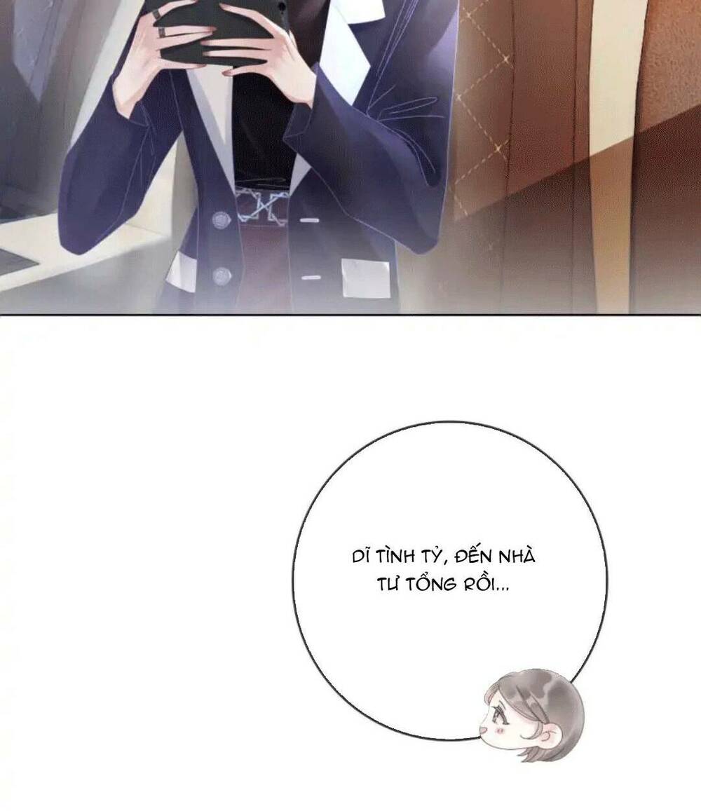 Nữ Phụ Ngày Nào Cũng Muốn Ly Hôn Với Ta: Chapter 11
