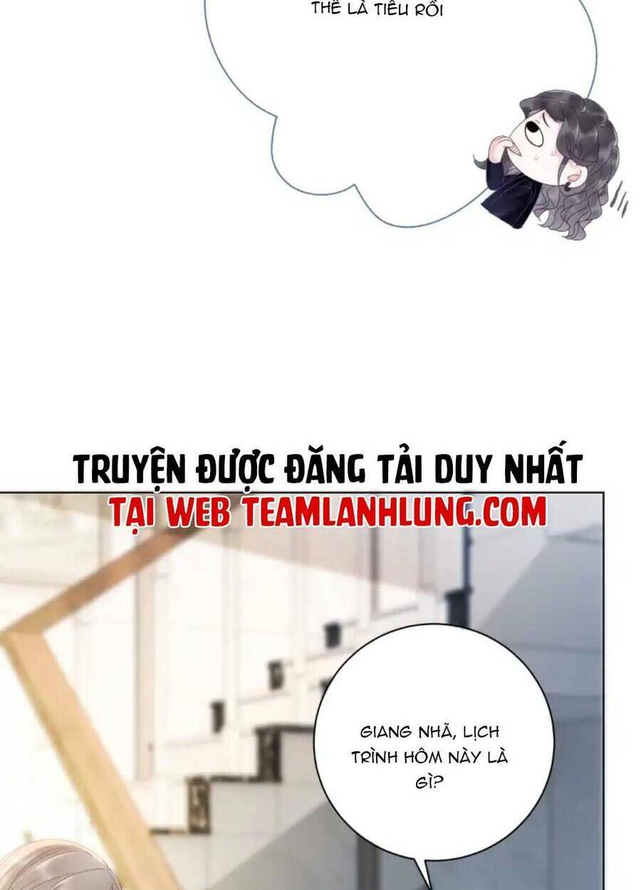 Nữ Phụ Ngày Nào Cũng Muốn Ly Hôn Với Ta: Chapter 12