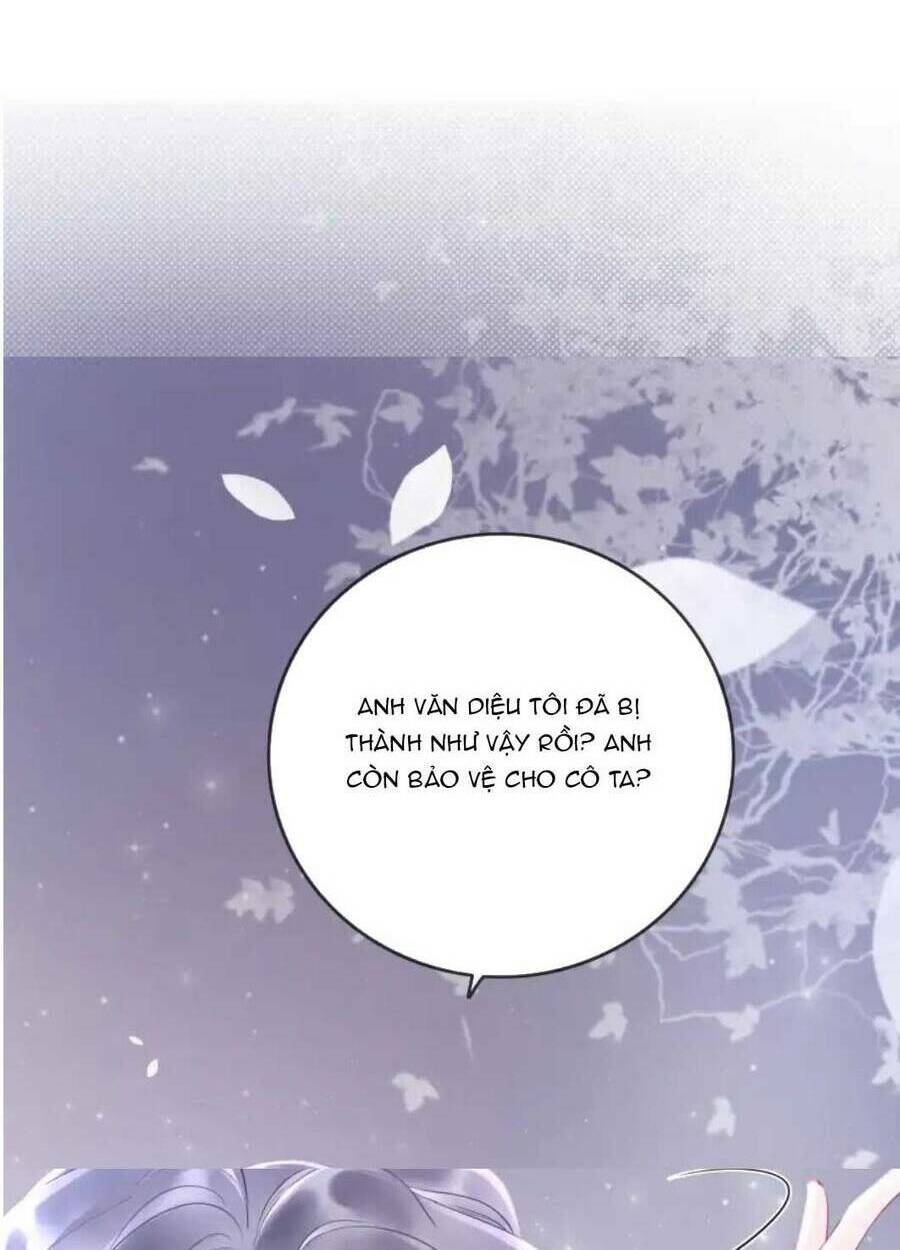Nữ Phụ Ngày Nào Cũng Muốn Ly Hôn Với Ta: Chapter 12