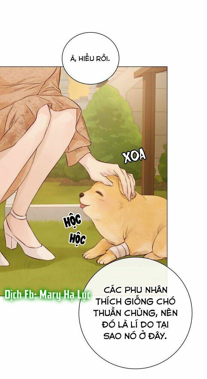 Kết Thúc Nhất Định Sẽ Có Hậu: Chapter 1