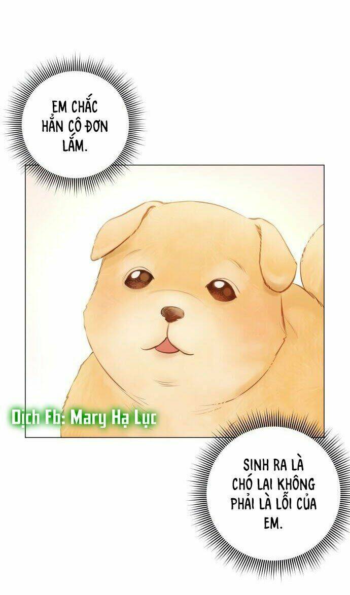 Kết Thúc Nhất Định Sẽ Có Hậu: Chapter 1