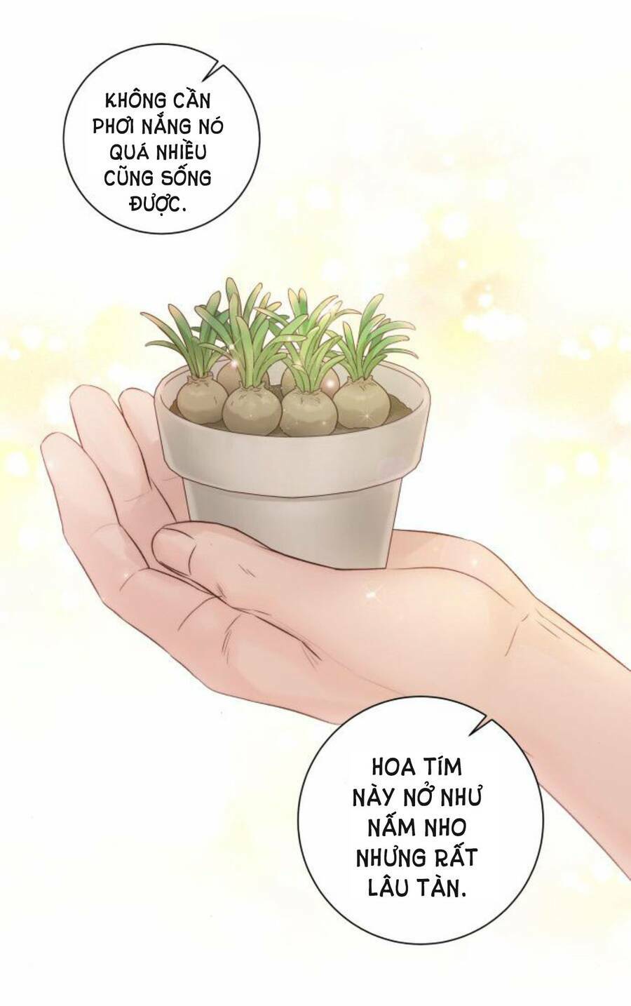 Kết Thúc Nhất Định Sẽ Có Hậu: Chapter 50