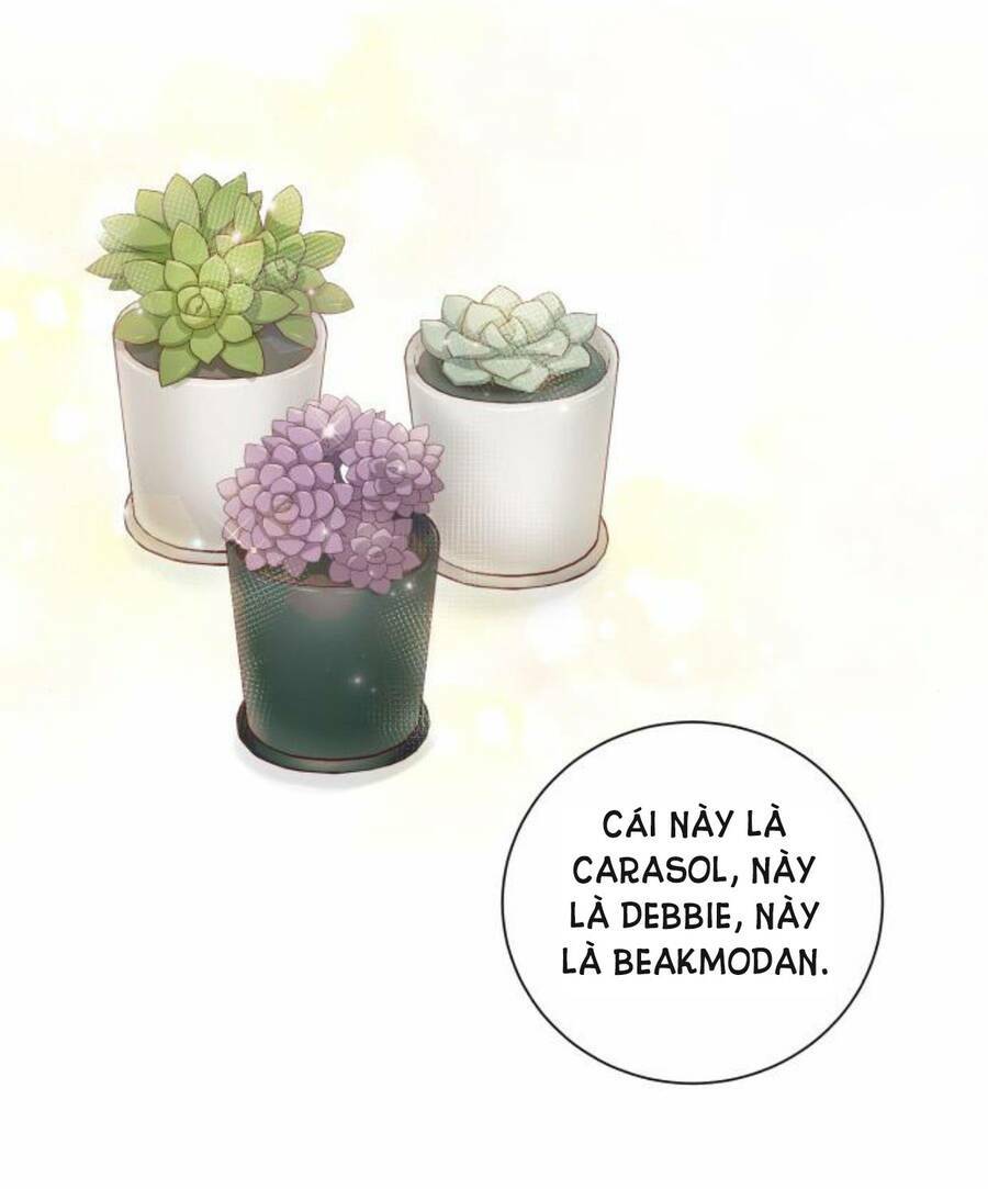 Kết Thúc Nhất Định Sẽ Có Hậu: Chapter 50