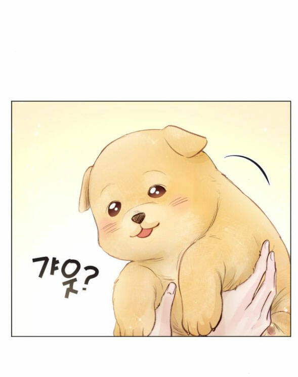 Kết Thúc Nhất Định Sẽ Có Hậu: Chapter 79.1