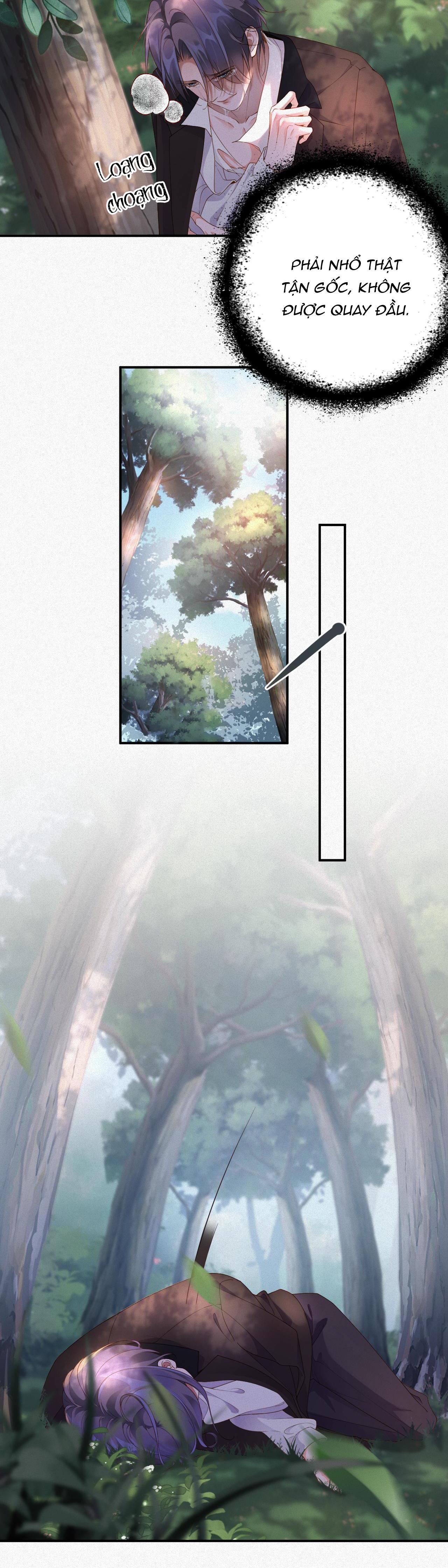 Chồng Cũ Muốn Tái Hôn Lần Nữa: Chapter 11