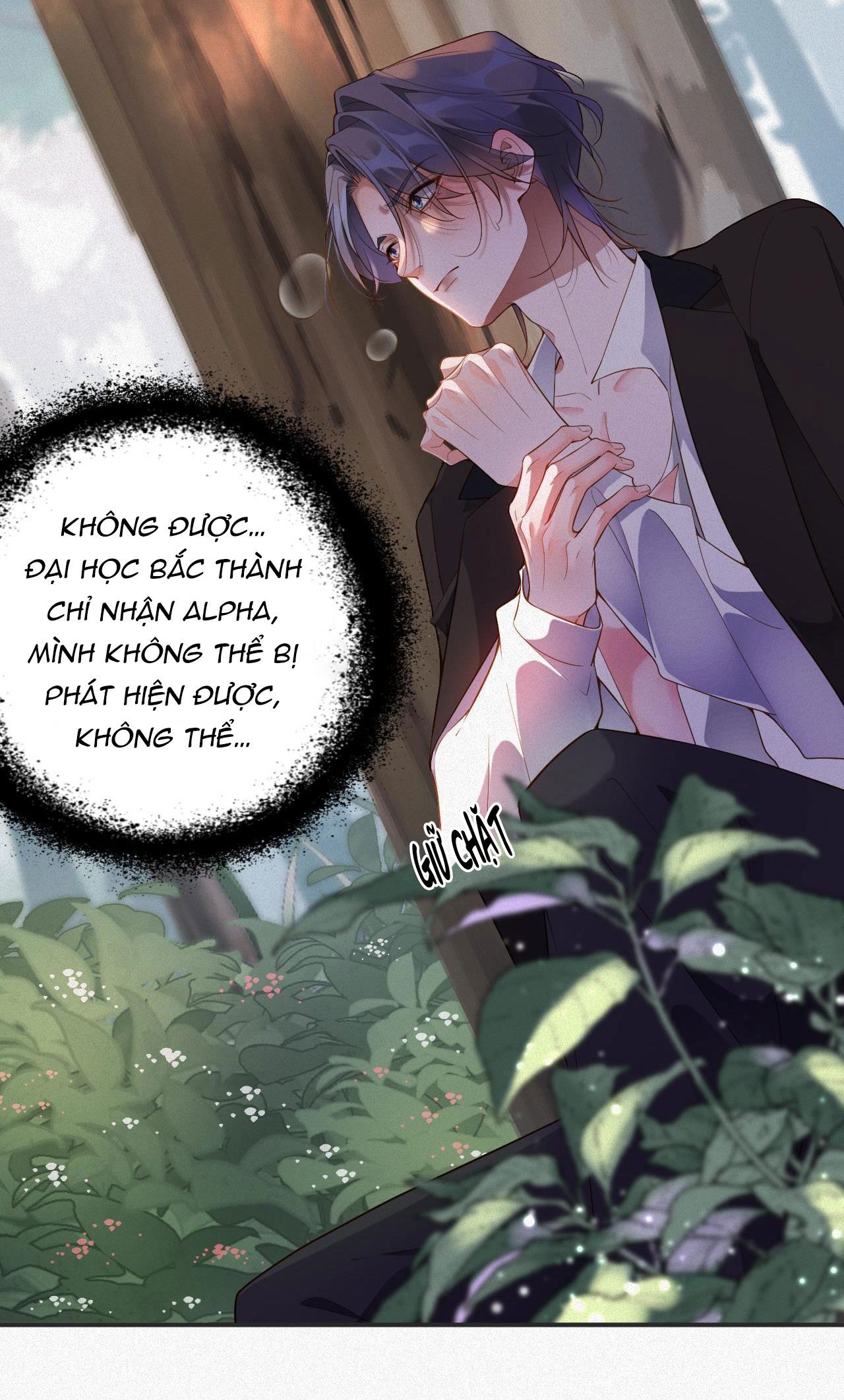 Chồng Cũ Muốn Tái Hôn Lần Nữa: Chapter 12