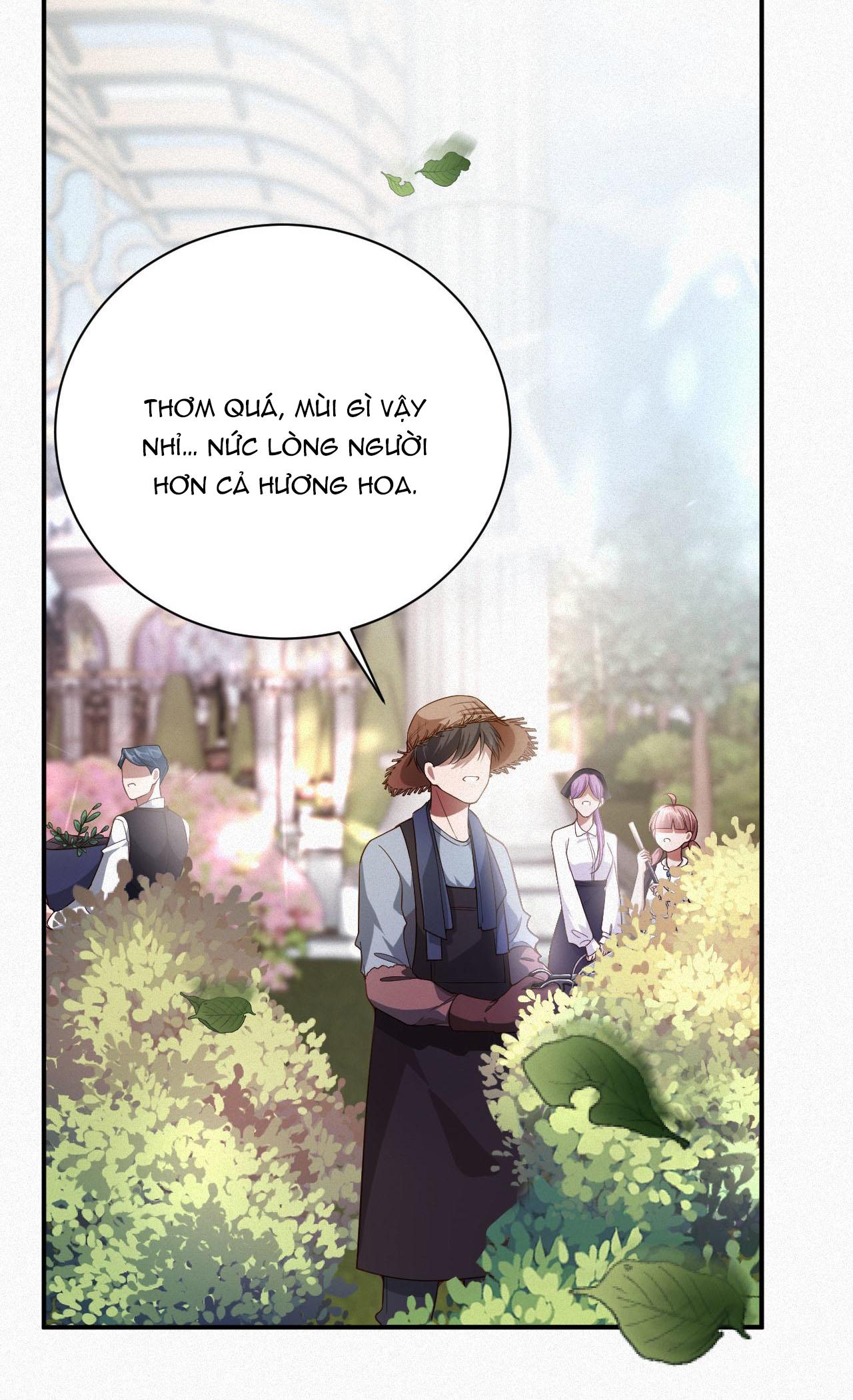 Chồng Cũ Muốn Tái Hôn Lần Nữa: Chapter 3