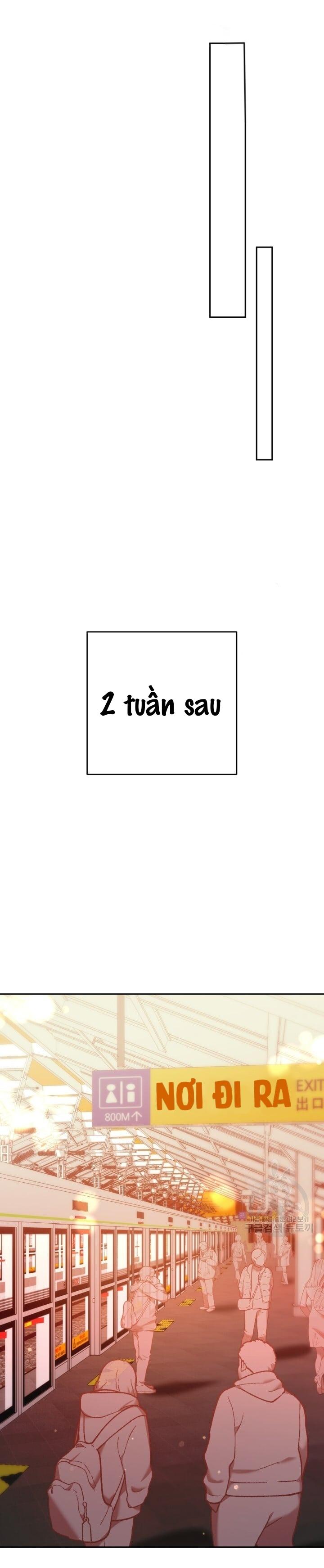 Cú Đấm Netkama: Chapter 14
