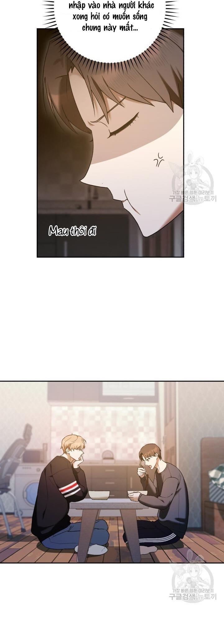 Cú Đấm Netkama: Chapter 17