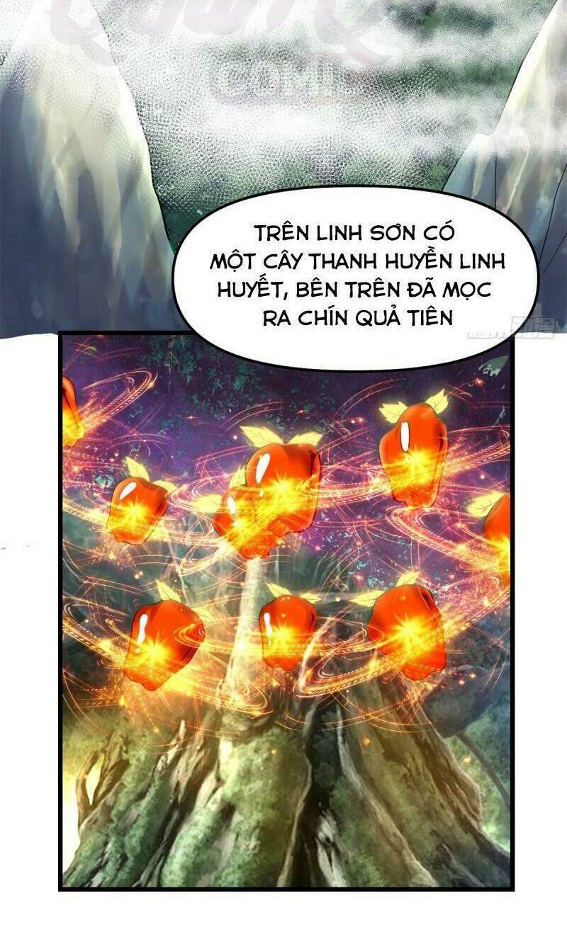 Ta Tu Có Lẽ Là Giả Tiên: Chapter 63