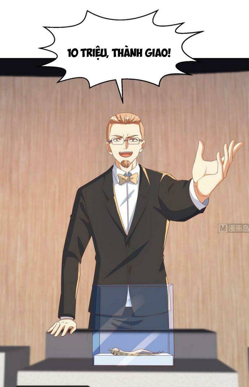 Tu Tiên Trở Về Tại Vườn Trường: Chapter 219