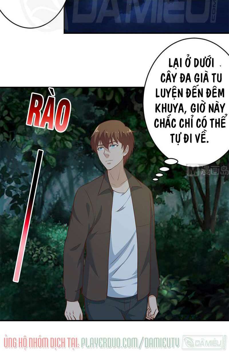 Tu Tiên Trở Về Tại Vườn Trường: Chapter 66