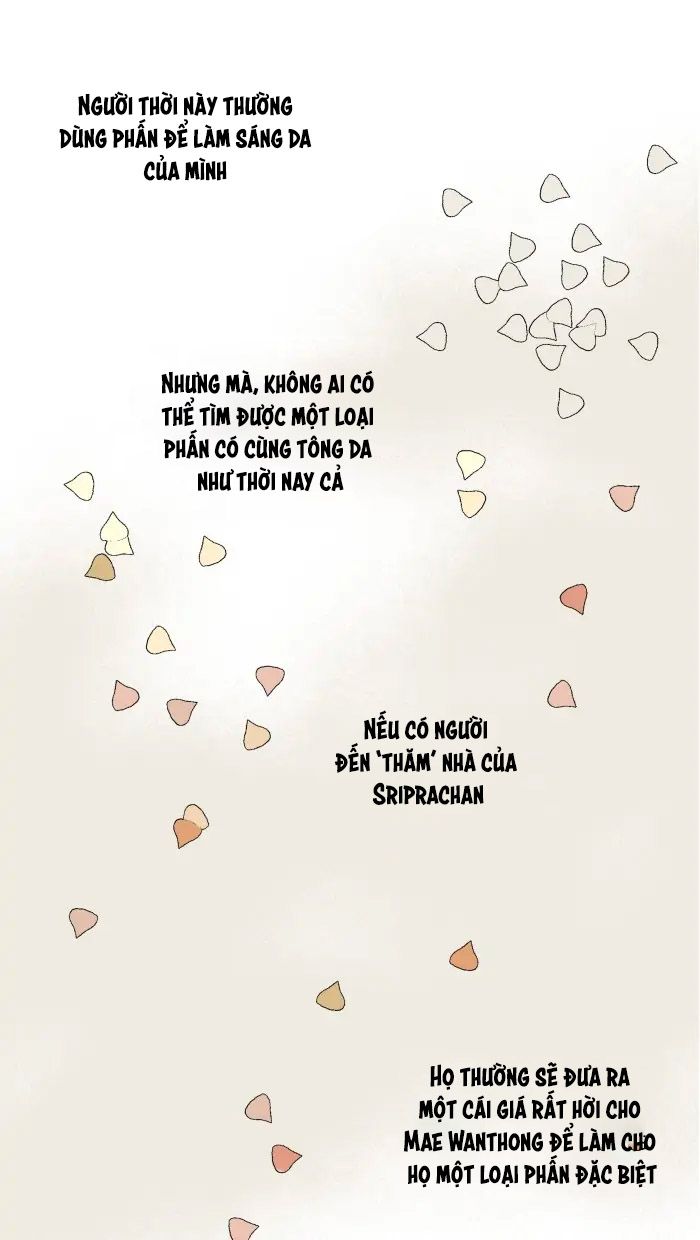 Nữ Chính Không Muốn Yêu: Chapter 24.1