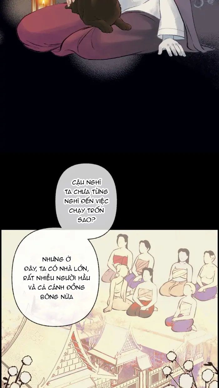 Nữ Chính Không Muốn Yêu: Chapter 29.2