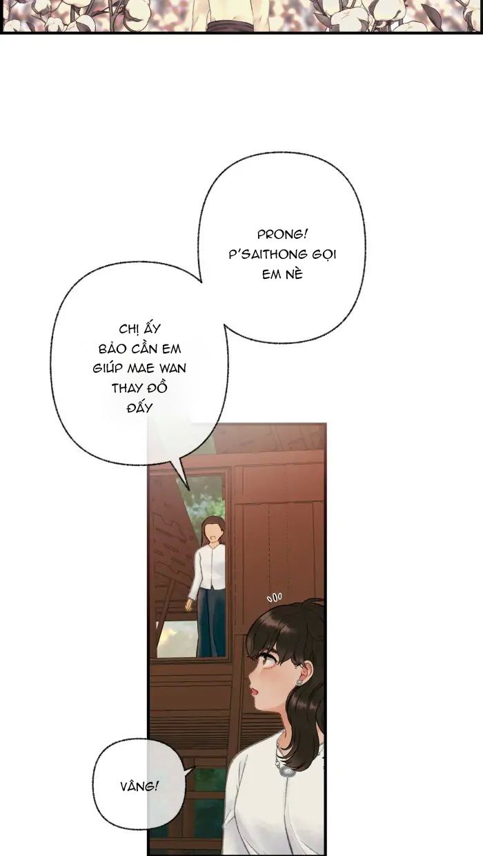 Nữ Chính Không Muốn Yêu: Chapter 35.1