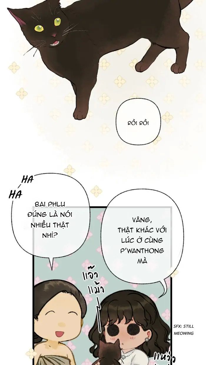 Nữ Chính Không Muốn Yêu: Chapter 35.1