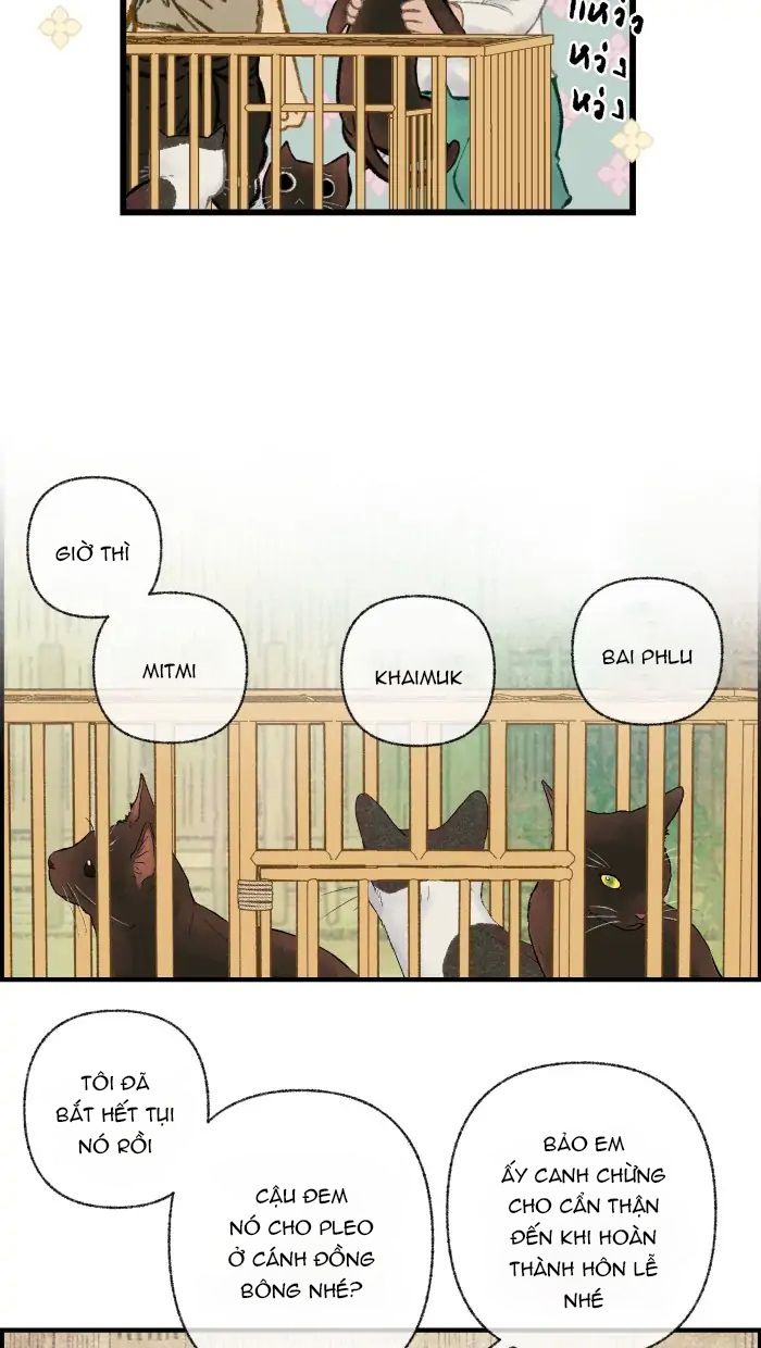 Nữ Chính Không Muốn Yêu: Chapter 35.1