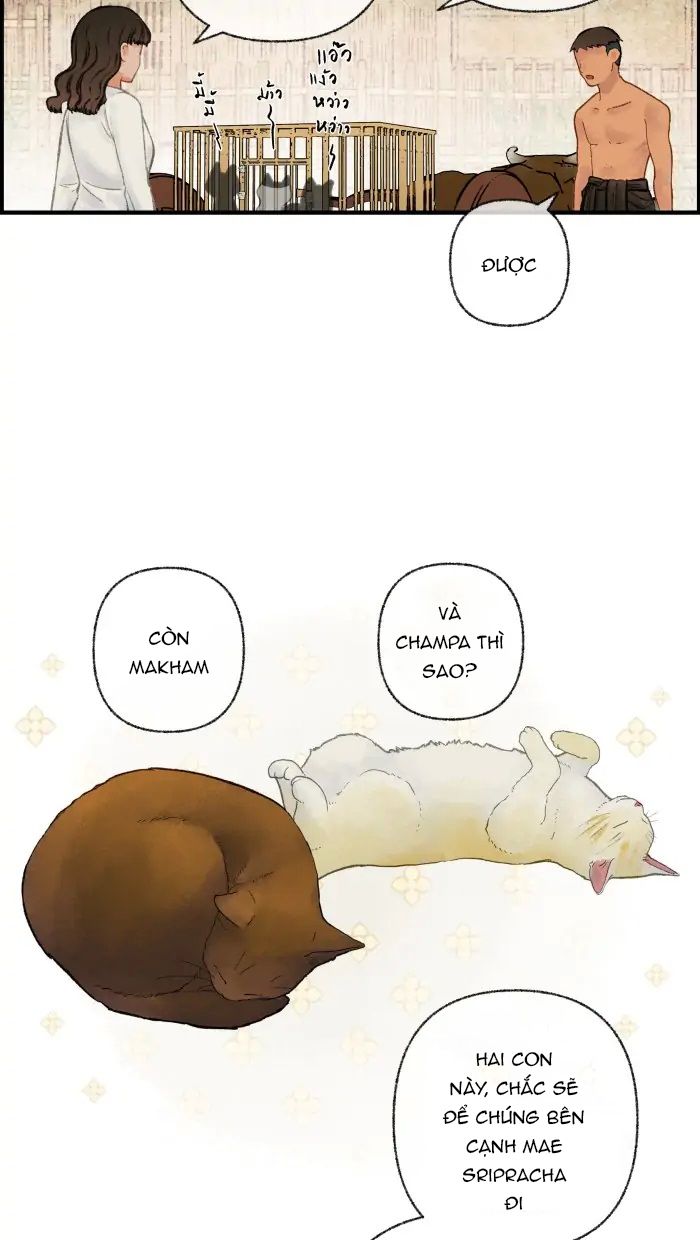 Nữ Chính Không Muốn Yêu: Chapter 35.1