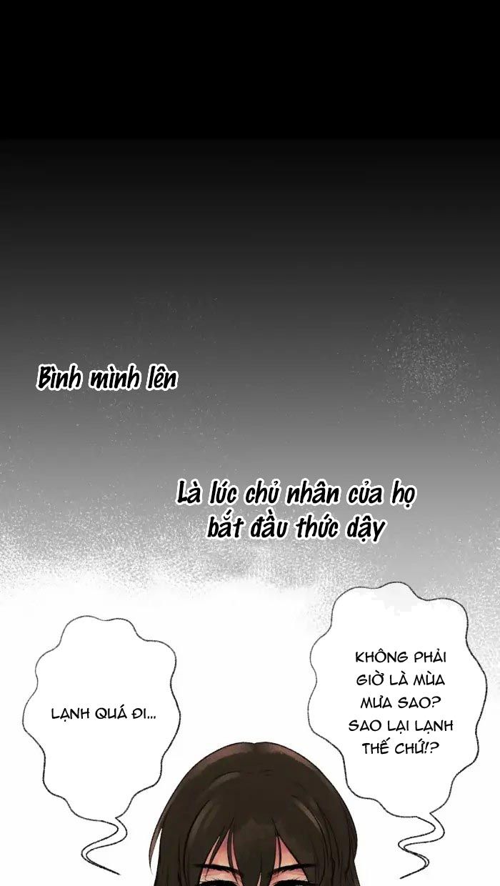 Nữ Chính Không Muốn Yêu: Chapter 39.2