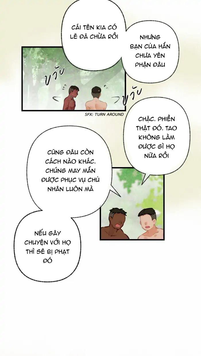 Nữ Chính Không Muốn Yêu: Chapter 39.2