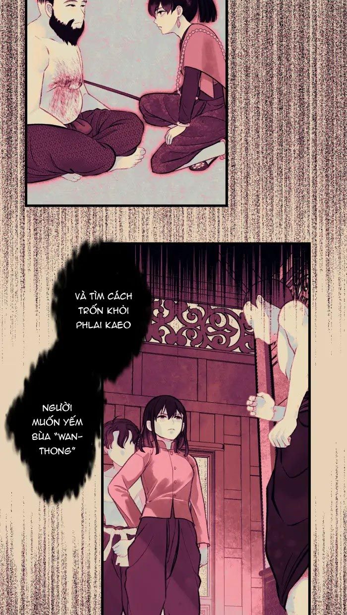 Nữ Chính Không Muốn Yêu: Chapter 41.2