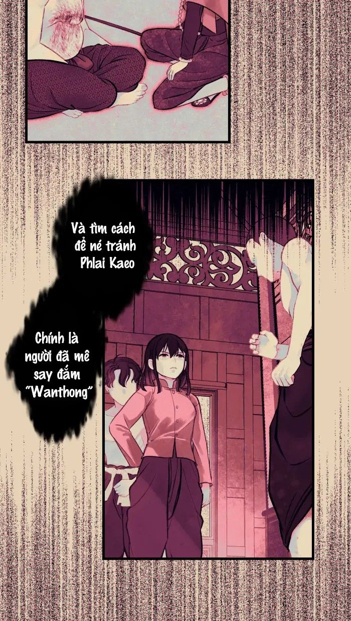 Nữ Chính Không Muốn Yêu: Chapter 42.1