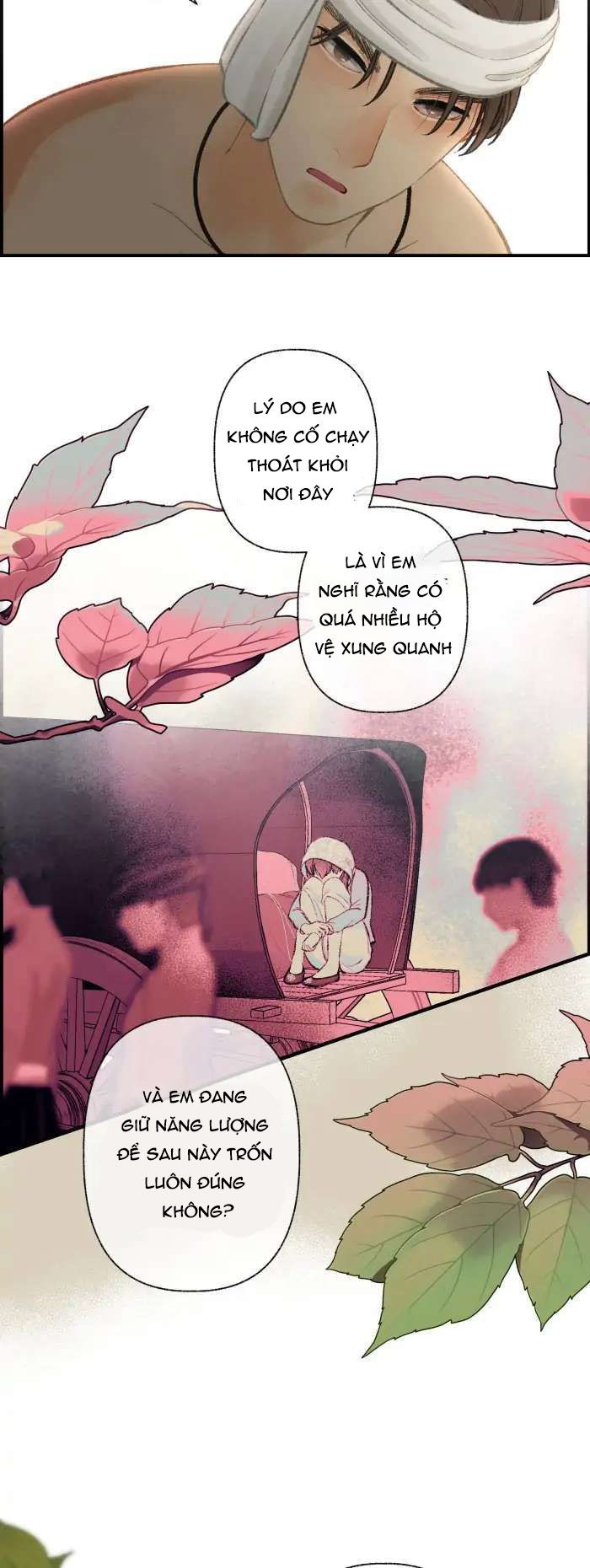 Nữ Chính Không Muốn Yêu: Chapter 62.2