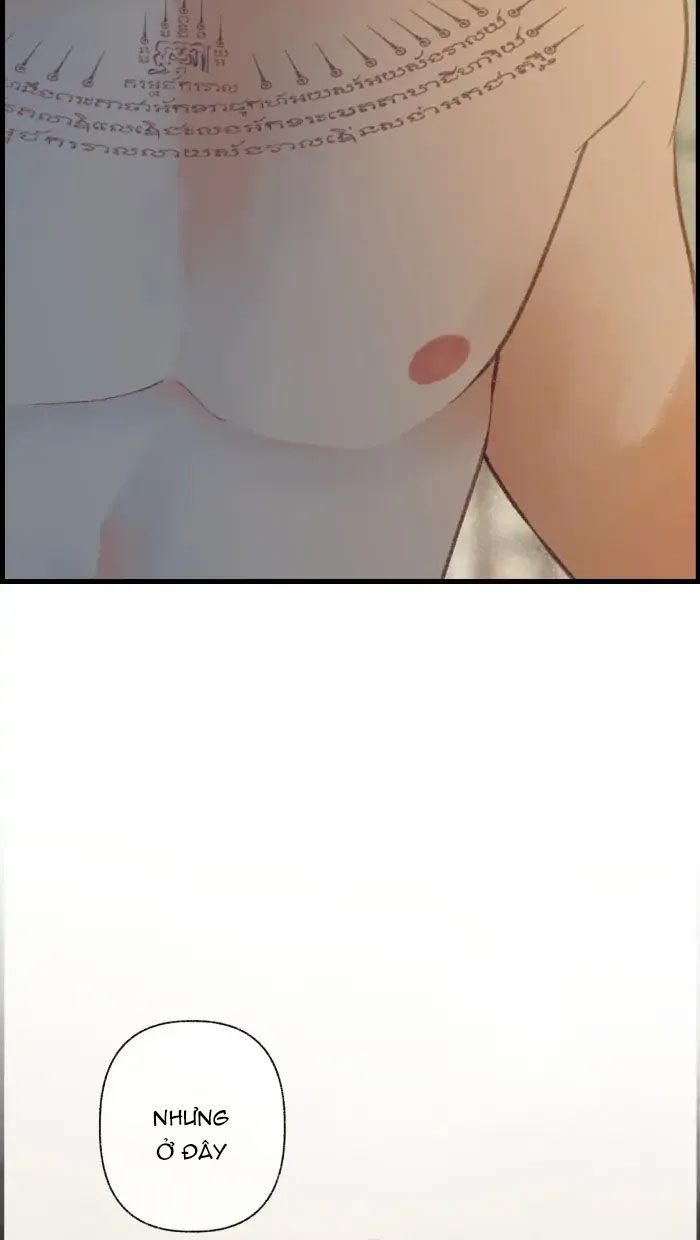 Nữ Chính Không Muốn Yêu: Chapter 63.2