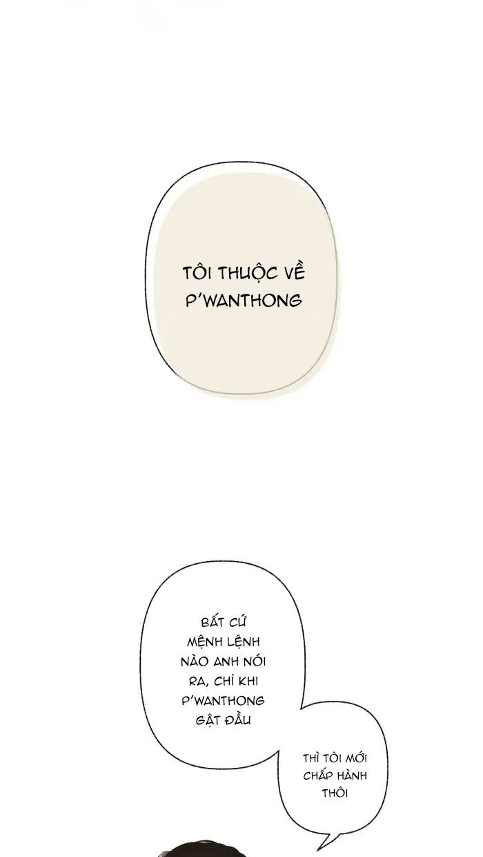 Nữ Chính Không Muốn Yêu: Chapter 64.1