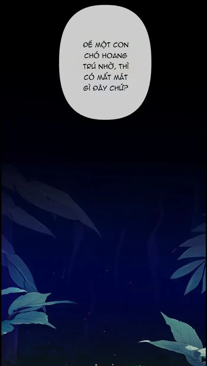 Nữ Chính Không Muốn Yêu: Chapter 64.2