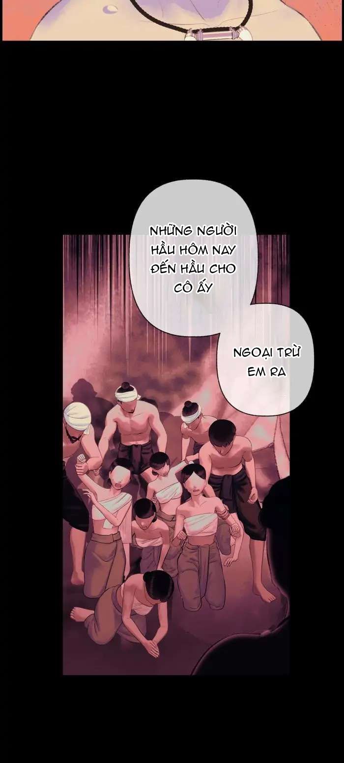 Nữ Chính Không Muốn Yêu: Chapter 70.1