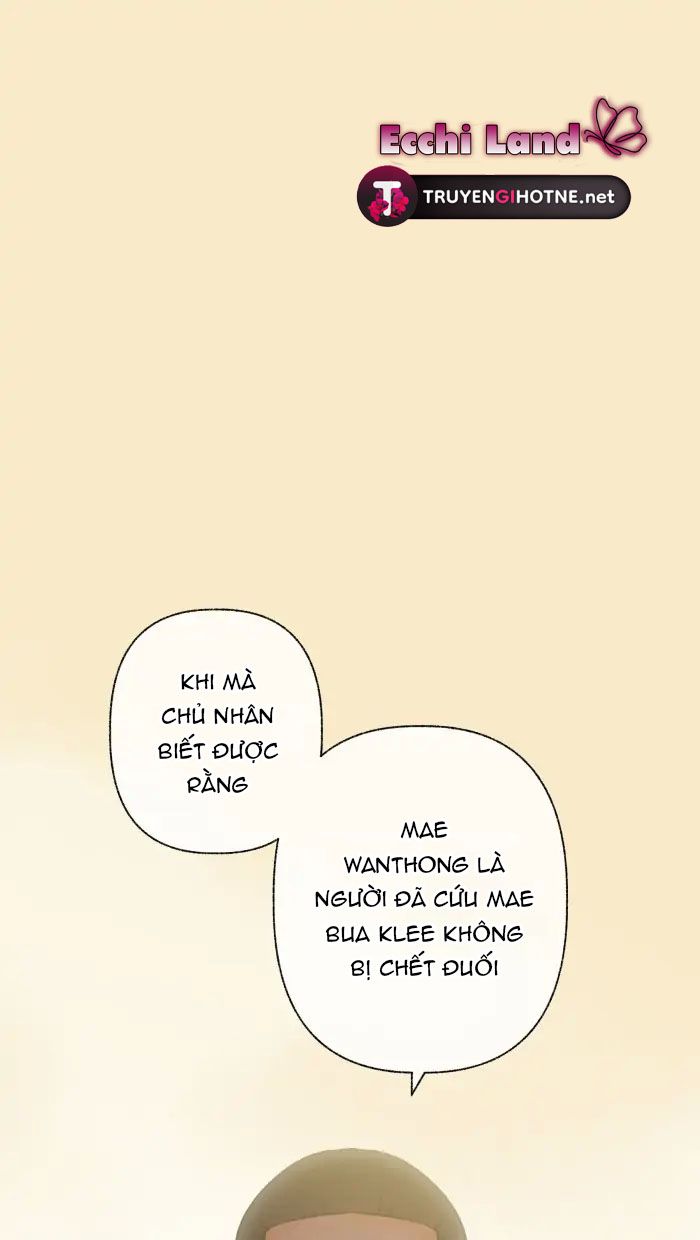 Nữ Chính Không Muốn Yêu: Chapter 70.1