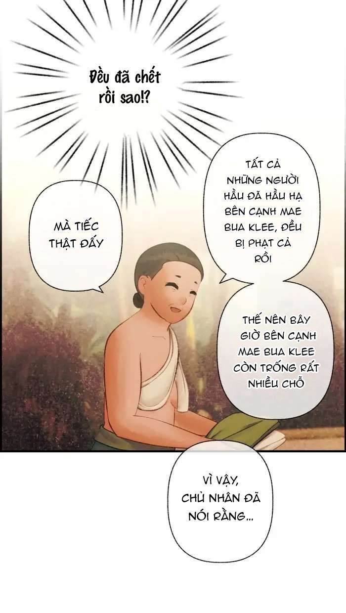 Nữ Chính Không Muốn Yêu: Chapter 70.1