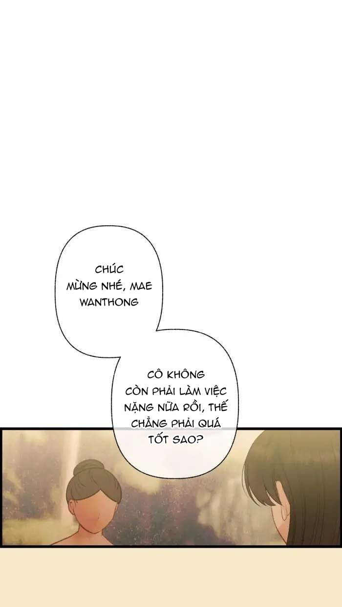 Nữ Chính Không Muốn Yêu: Chapter 70.1