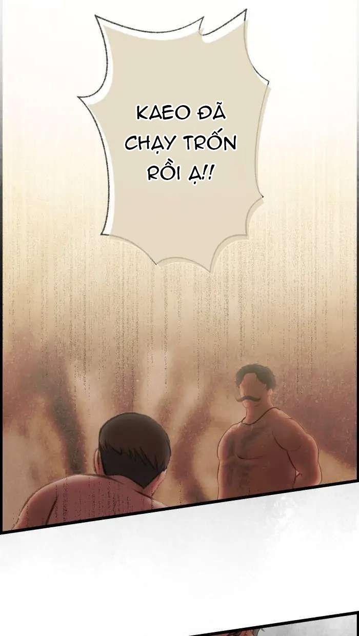 Nữ Chính Không Muốn Yêu: Chapter 70.2