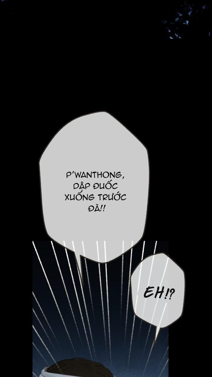Nữ Chính Không Muốn Yêu: Chapter 71.2