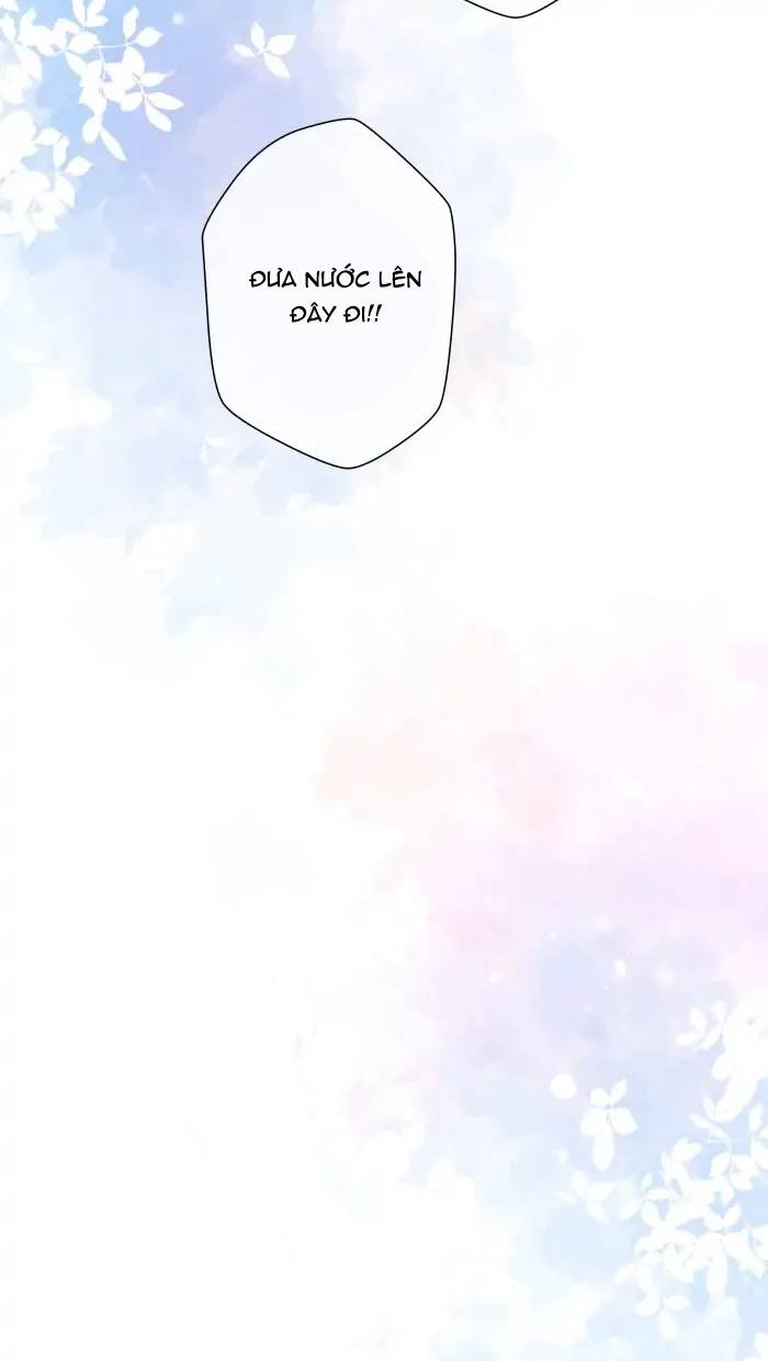 Nữ Chính Không Muốn Yêu: Chapter 74.1