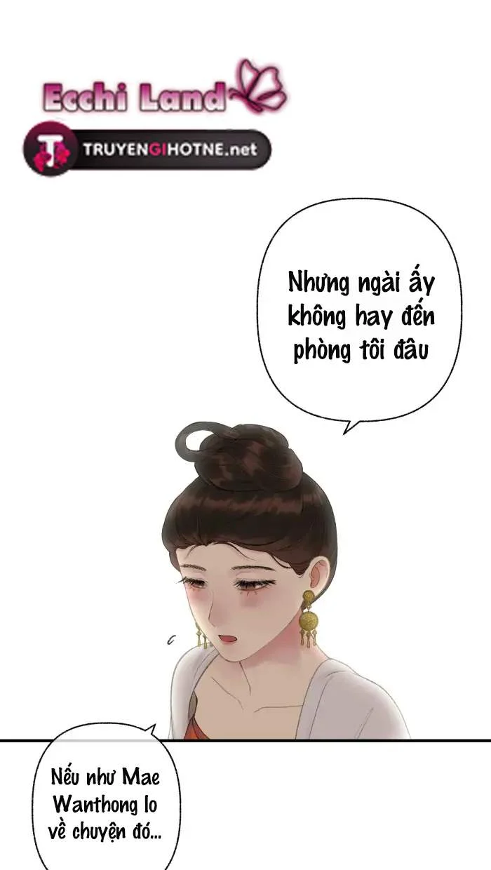 Nữ Chính Không Muốn Yêu: Chapter 77.1