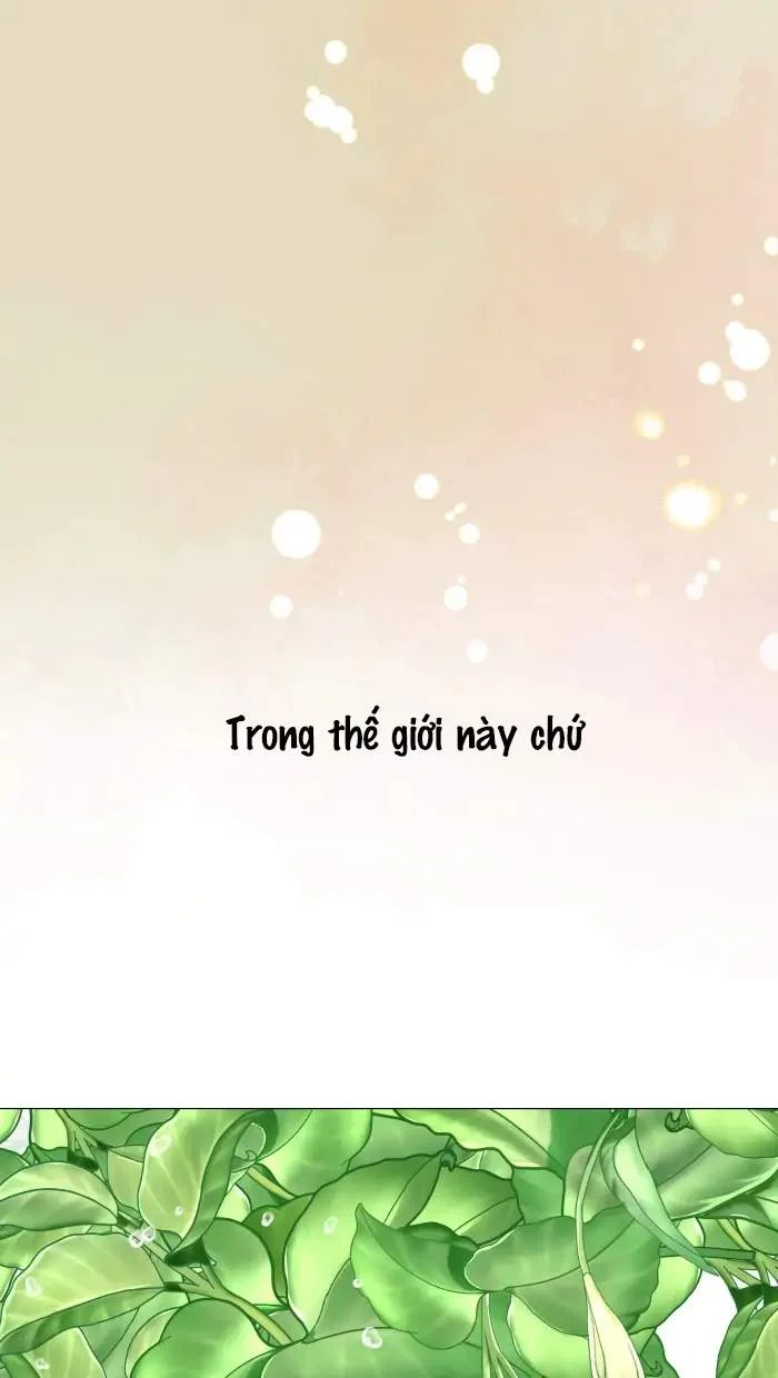 Nữ Chính Không Muốn Yêu: Chapter 77.2