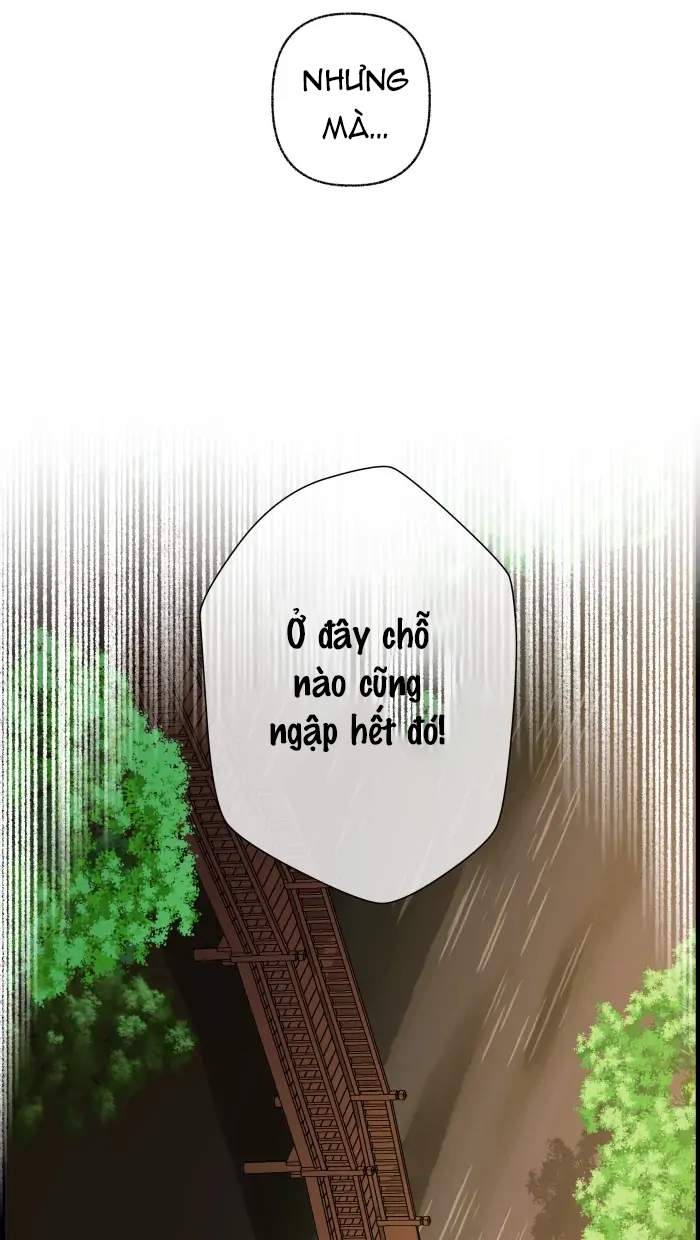 Nữ Chính Không Muốn Yêu: Chapter 78.2