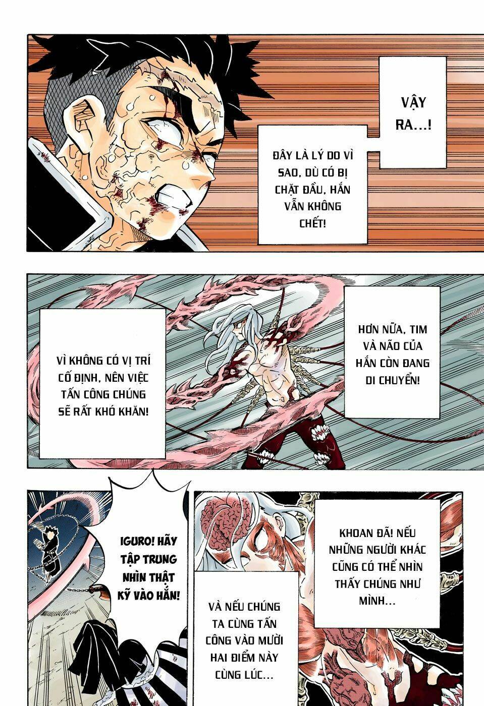Thanh Gươm Diệt Quỷ: Chapter 191