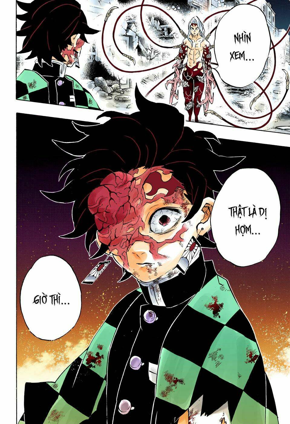 Thanh Gươm Diệt Quỷ: Chapter 191