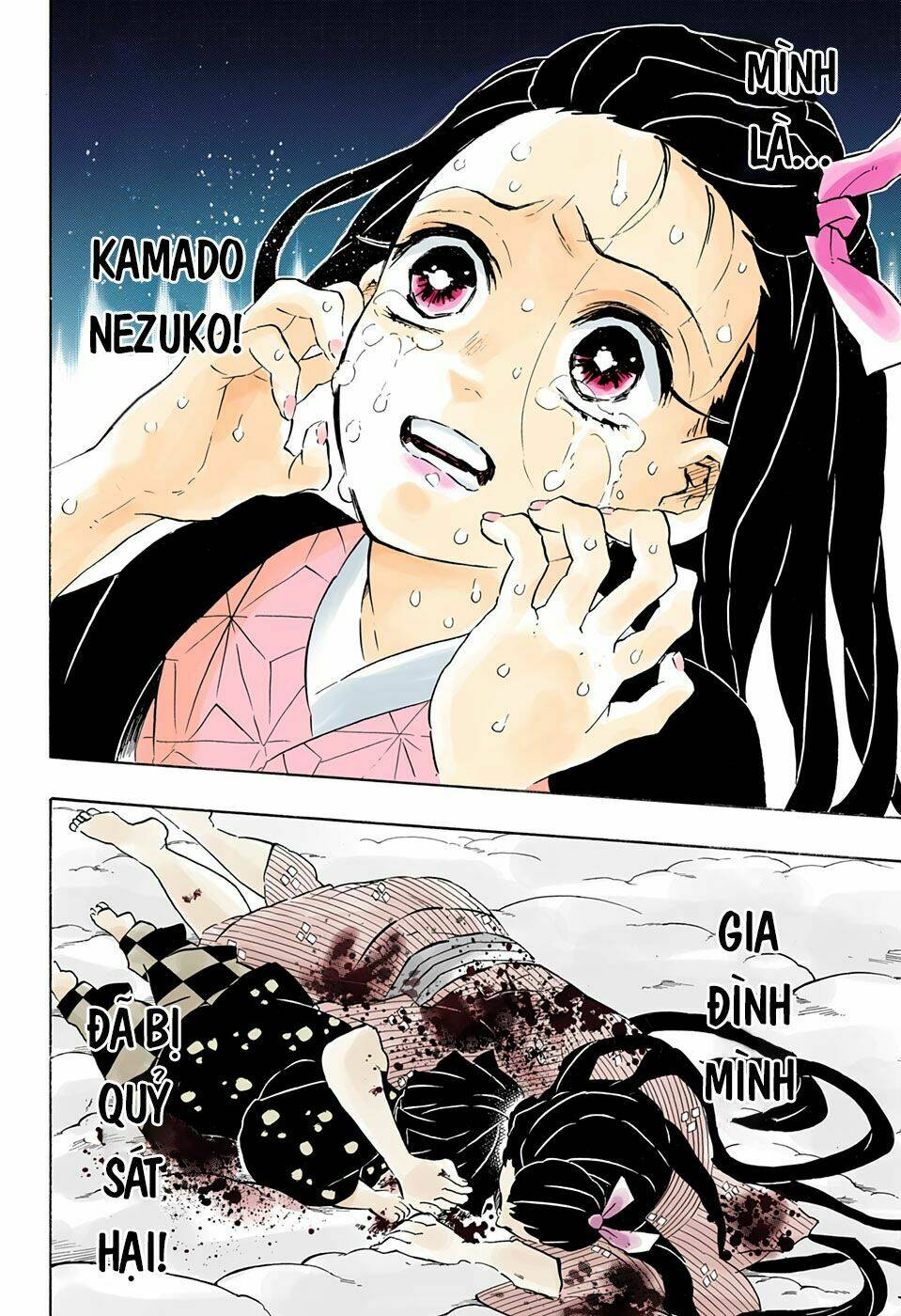 Thanh Gươm Diệt Quỷ: Chapter 196
