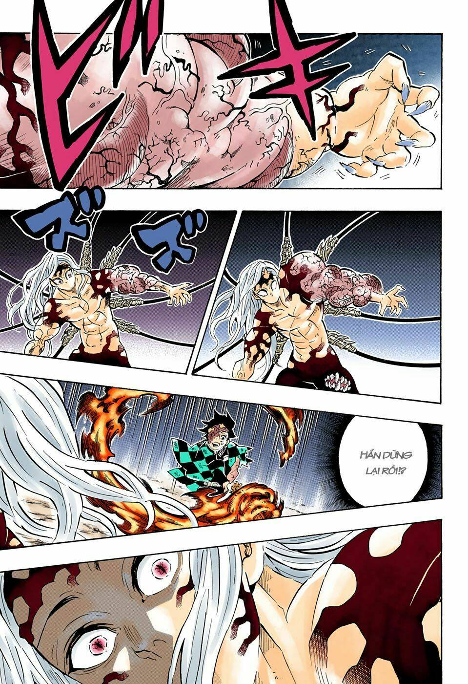 Thanh Gươm Diệt Quỷ: Chapter 196