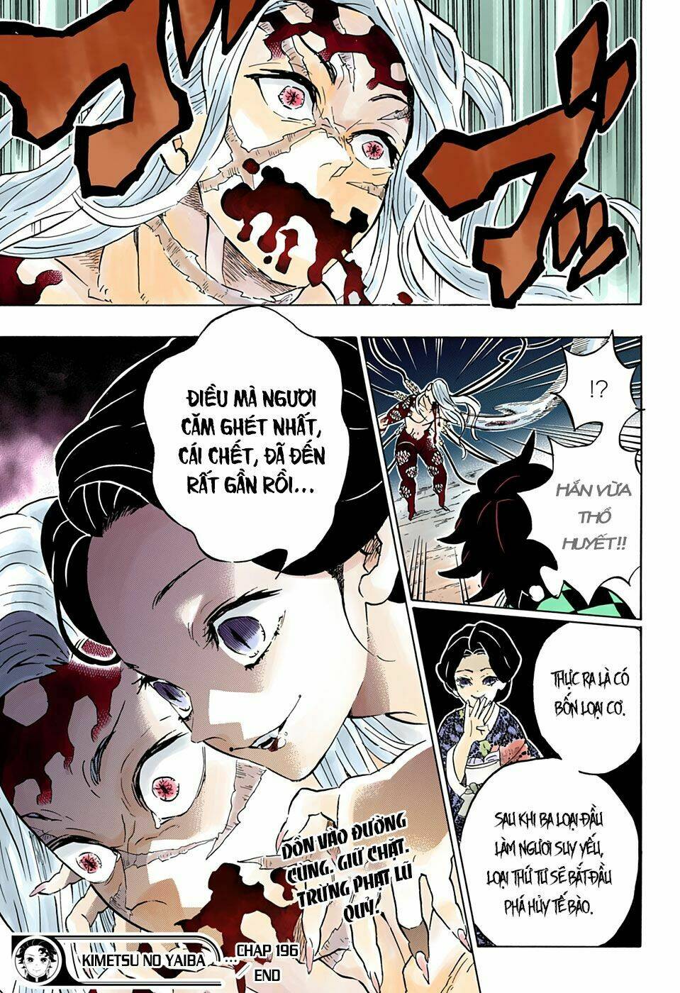 Thanh Gươm Diệt Quỷ: Chapter 196