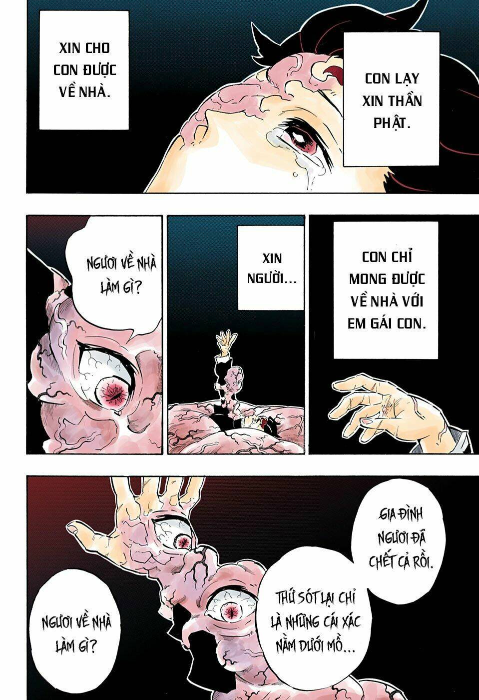 Thanh Gươm Diệt Quỷ: Chapter 203: Những lời động viên