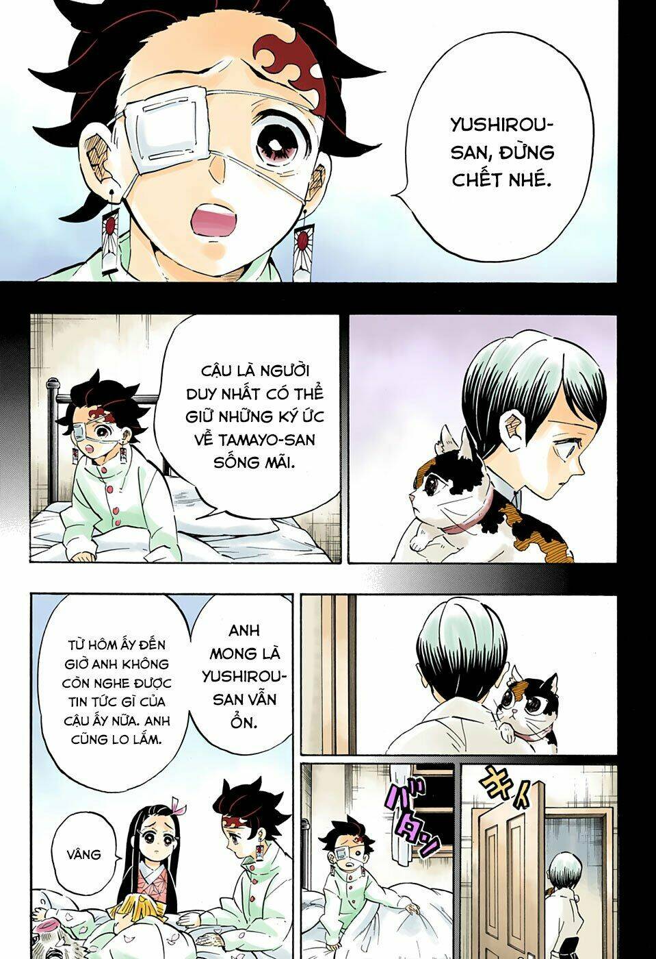 Thanh Gươm Diệt Quỷ: Chapter 204: Một thế giới không còn quỷ